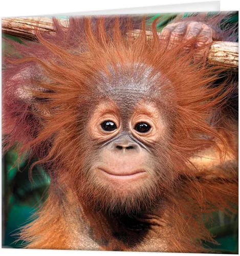 3D LiveLife Tarjeta de felicitación - Baby Orangutan de Deluxebase. Colorido mono Lenticular Tarjeta 3D para cualquier ocasión y edad. Obra original