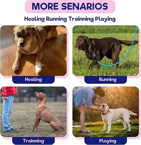 Miniatura 6 de FUAMEY Soportes para patas de perro para pierna trasera