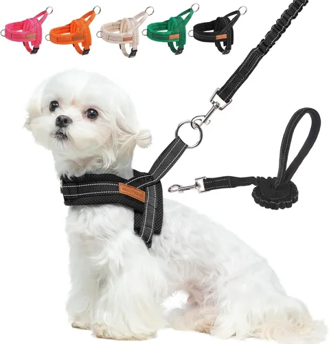 Miniatura 23 de BEAUTYZOO Arnés para Perros Pequeños, Juego de Arnés y Correa sin Tirones, Arnés de Chaleco para Cachorros Suave a Prueba de Escapes con Manija