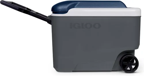 Miniatura 6 de IGLOO Maxcold
