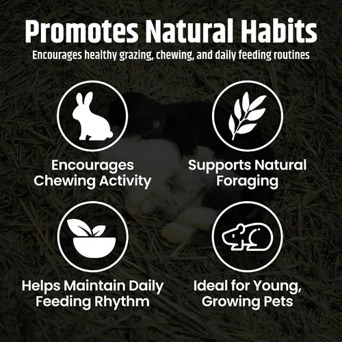 Miniatura 3 de High Desert Heno de alfalfa, alimento de hojas blandas rico en proteínas para animales jóvenes en crecimiento, alimento natural para conejos y heno