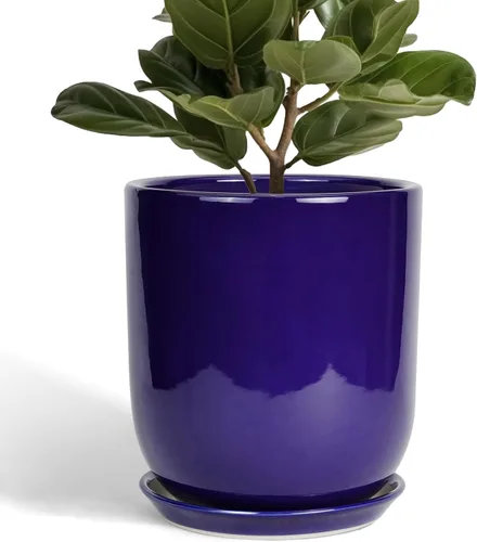Miniatura 20 de Maceta de Cerámica para Plantas de Interior de 5 Pulgadas - Maceta Redonda para Plantas Suculentas con Agujero de Drenaje y Platillo, Decoración