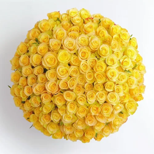 Miniatura 12 de GlobalRose Ramo de 100 Rosas Melocotón - Rosas de Origen Responsable Flores Frescas - Ramo Fresco de Flores Seleccionadas a Mano para Graduación