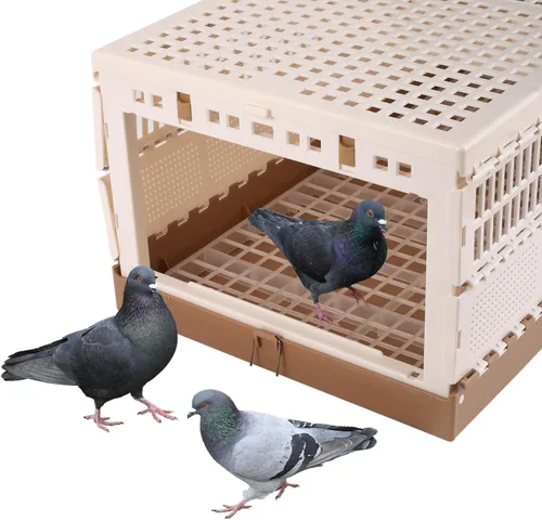 Miniatura 7 de Jaula plegable de plástico para palomas con asa, jaula portátil de viaje para pájaros, jaula de emparejamiento, caja nido de palomas, fácil