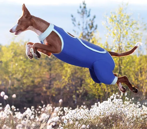 Miniatura 7 de ROZKITCH Manga de pierna para cirugía para perros, piernas traseras, macho y hembra para evitar lamer heridas, codo, rodillera, traje de Azul