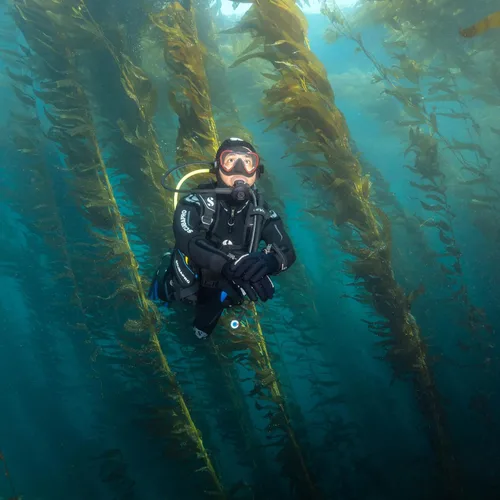 Miniatura 5 de SCUBAPRO Nivel Super Cinch delantero ajustable buceo BCD para buceo recreativo