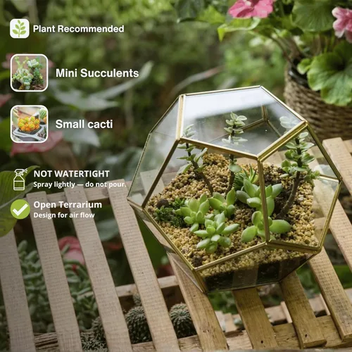 Miniatura 2 de Terrario geométrico de vidrio en dodecaedro y pentágono transparente, con planta suculenta para terrario, Geométrico, Transparente