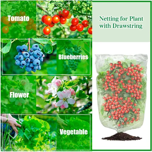 Miniatura 2 de 3 piezas de malla de barrera para plantas, malla de barrera para plantas, redes de pájaros, bolsas de barrera para verduras, frutas, bolsas