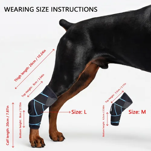 Miniatura 3 de Rodillera de perro para pierna trasera, soporte de ACL para perros grandes, soporte ajustable para piernas de perro para lesiones en las piernas
