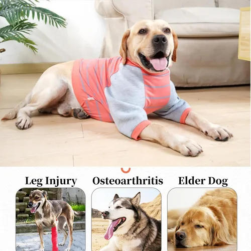 Miniatura 7 de Protector de codo de perro para callos, camisa de protección posoperatoria, ropa de traje de recuperación quirúrgica, tirantes de pierna delantera
