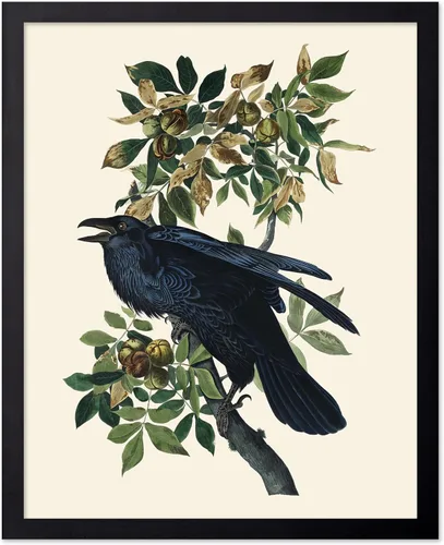 Miniatura 75 de Poster Master Vintage James Audubon Póster - Impresión Retro de Cuervo - Arte de Aves de América - Arte de Aves - Regalo para Hombres, Mujeres