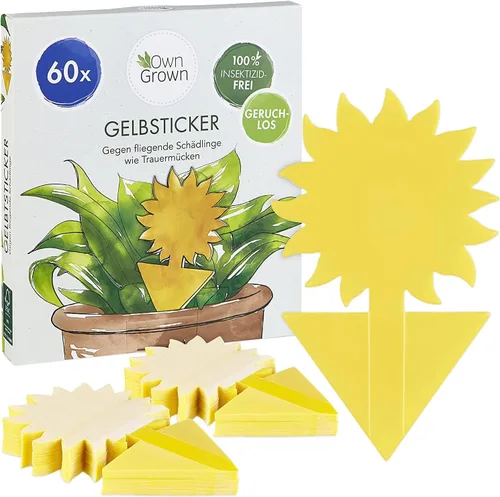 OwnGrown Trampas adhesivas amarillas para moscas de interior – 60 piezas de control eficaz de mosquitos blancos y moscas de la fruta, papel adhesivo
