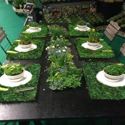 Miniatura 4 de FAICOIA 2 Piezas Camino de Mesa de Musgo Musgo Seco para Manualidades Rollo de Musgo Verde para Jardines de Hadas Boda Bosque 12" x 71" Tapete