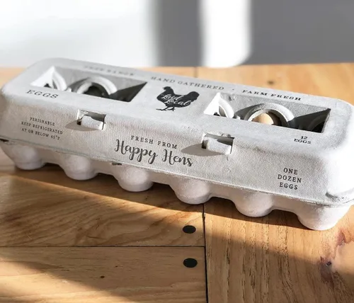 25 cajas de huevos, adorable diseño vintage impreso para huevos frescos de granja, cartón de papel reciclado, resistente y reutilizable, cartón con
