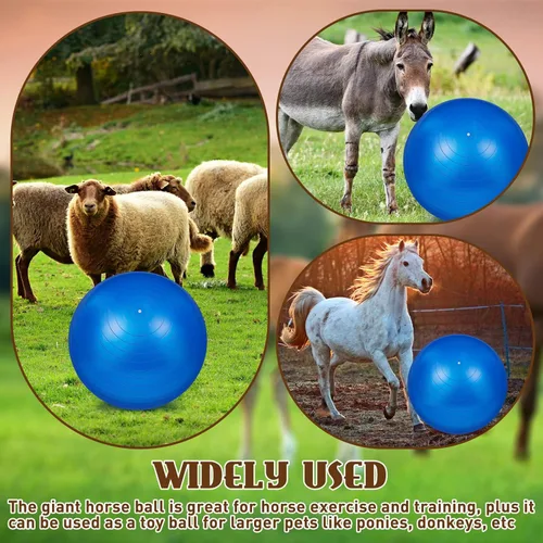 Miniatura 6 de Sotiff 2 pelotas de caballo de 40 pulgadas para jugar, caballo grande, equino, pastoreo, antiestallido, pelota de fútbol gigante para perro, bomba