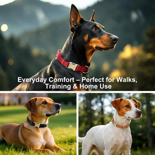 Miniatura 6 de Collar de cuero genuino para perro Plutus Pet – Collar ajustable para mascotas con hebilla de metal de liberación rápida, cuero suave y auténtico