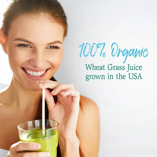 Miniatura 2 de Garden of Life Raw Organic Perfect Food 100% orgánico jugo de pasto de trigo de Estados Unidos – Polvo de superalimentos verdes en jugo, 60