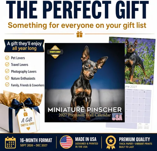 Miniatura 7 de Calendario 2025-2026 de Pinscher en miniatura - Calendario mural mensual de raza de perro - 12" x 24" abierto - Papel grueso sin sangrado - Regalo