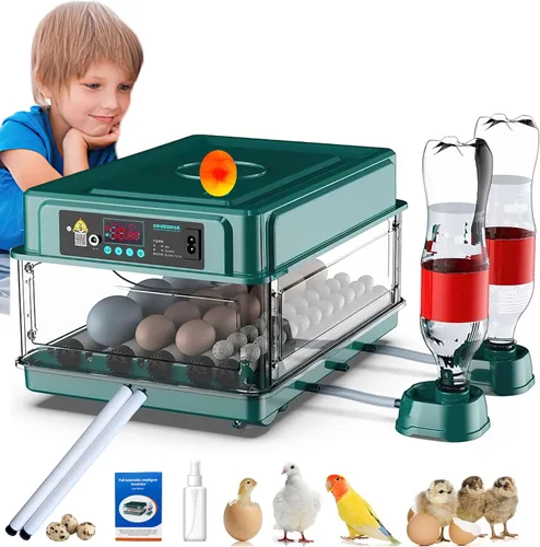 Miniatura 7 de Incubadora automática de huevos de 24 a 60 huevos Incubadoras inteligentes automáticas para incubar huevos, máquina de incubación de aves de corral