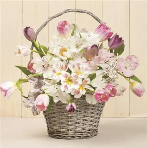 Servilletas florales Cesto floral 40 servilletas de almuerzo, servilletas de papel de decoupage, servilletas desechables decorativas, servilletas de