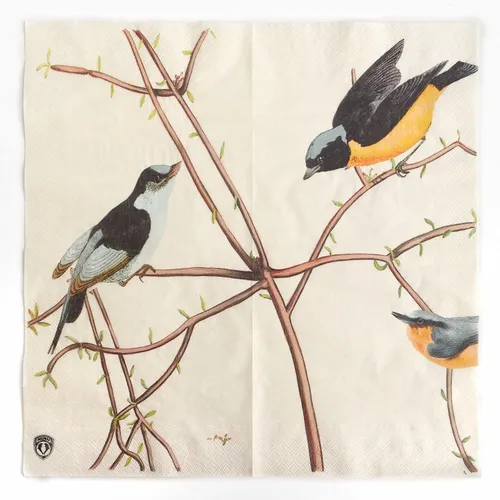 Miniatura 38 de Zelten Servilletas de papel de colores (rosa telar)