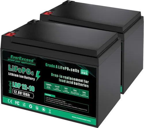 EverExceed - Batería LiFePO4 de 12V 10Ah con BMS de 10A incorporado, más de 3000 ciclos profundos, batería de litio de 12V para buscador de peces,