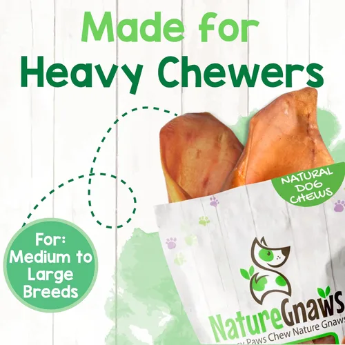 Miniatura 5 de Nature Gnaws Orejas de cerdo para perros (8 unidades) – Gruesas de larga duración para masticadores agresivos y perros grandes – Huesos naturales