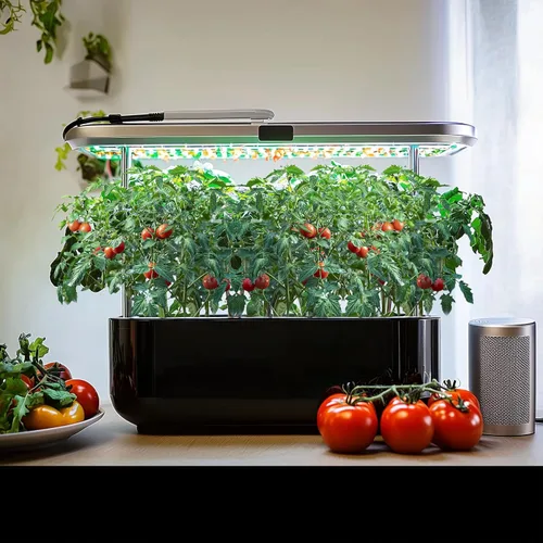 Miniatura 8 de Más de 1,500 semillas de tomate, semillas de vegetales autóctonas para plantar en interiores y exteriores, kit de jardín hidropónico de 10
