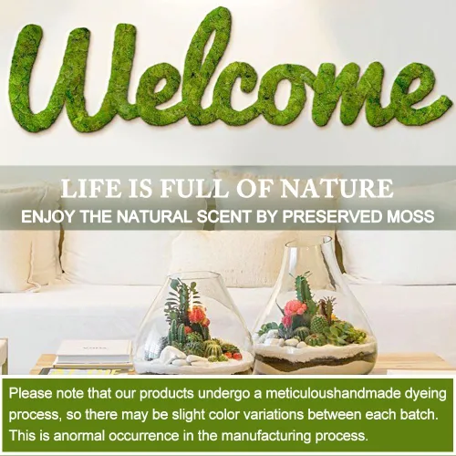 Miniatura 5 de Musgo preservado para manualidades, musgo de reno azul para plantas en maceta, decoración de musgo decorativo para arte de pared, musgo seco