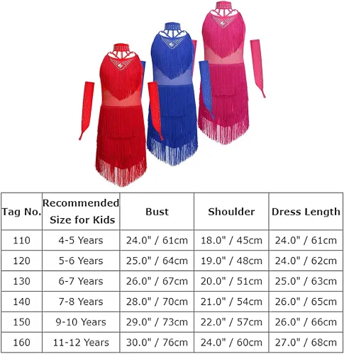 Miniatura 7 de AFAVOM Vestido de baile latino con borlas de lentejuelas para niñas, vestidos de patinaje artístico, ropa de baile con guantes, gargantilla