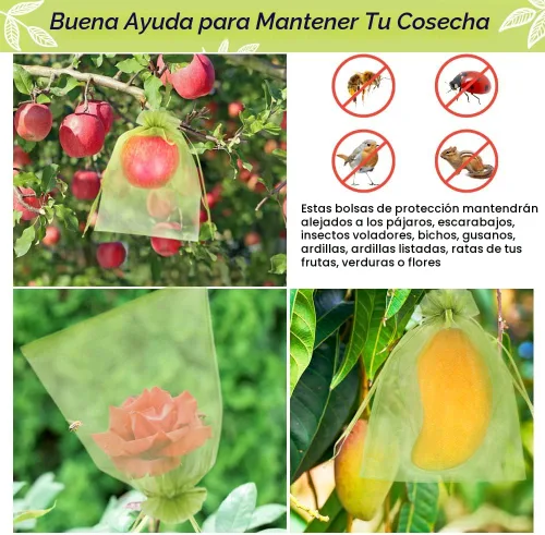 Miniatura 5 de 100 piezas de bolsas de protección de frutas 15x23 cm, bolsas de cobertura de malla verde con cordón, protectores de frutas de malla, barrera contra