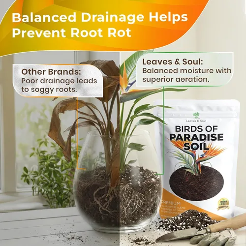Miniatura 3 de Bird of Paradise - Mezcla profesional para macetas de 2.2 cuartos de galón, lista para usar, tierra de interior premium para plantas de aves