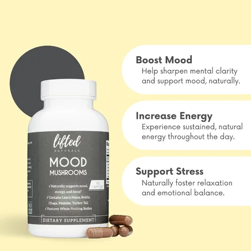 Miniatura 2 de Mood Hongos - Suplemento de hongos levantados - Melena de león, Reishi, Chaga, cola de pavo, Maitake - Energía, enfoque, alivio del estrés