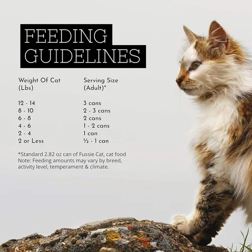 Miniatura 3 de Fussie Cat Comida húmeda prémium de atún y gambas en Aspic sin granos para gatos, 2.82 onzas, caja de 24
