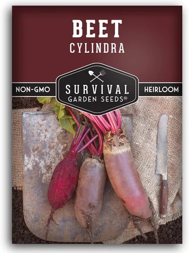Survival Garden Seeds - Semilla de remolacha Cylindra para plantar - Paquete con instrucciones para cultivar remolacha roja oscura en el huerto de