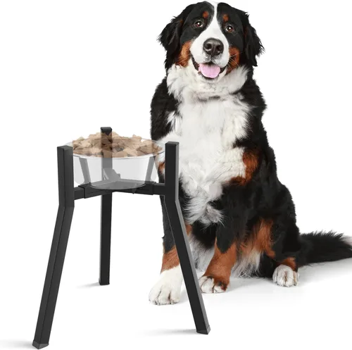 Miniatura 16 de Soporte Ajustable Elevado para Cuenco de Perros de 7-10.6" de Diámetro para Comida y Agua - Comedero Elevado de 11" de Altura para Mejorar