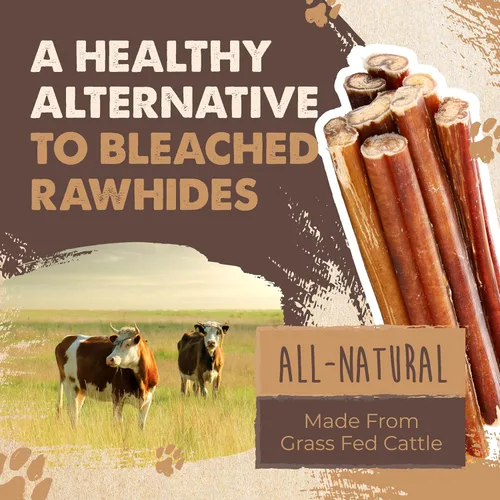 Miniatura 8 de Mighty Paw Naturals Bully Sticks para perros, masticables de carne de res alimentada con pasto. Palitos para mascotas para perros grandes, razas