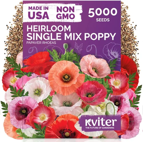 Miniatura 48 de KVITER 1600 semillas de pensamiento de los gigantes suizos para plantar (Viola wittrockiana) - Paquetes de semillas de colores mixtos Flores