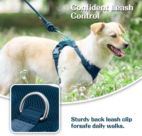Miniatura 2 de Arnés sin tirones para perros pequeños, medianos y grandes, chaleco de malla ajustable de 2 capas con doble clip, a prueba de escapes, liberación