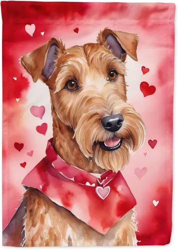 Miniatura 210 de Caroline's Treasures DAC5292CHF - Bandera de Border Collie My Valentine House para porche, grande, con manga para porche, para colgar en la pared
