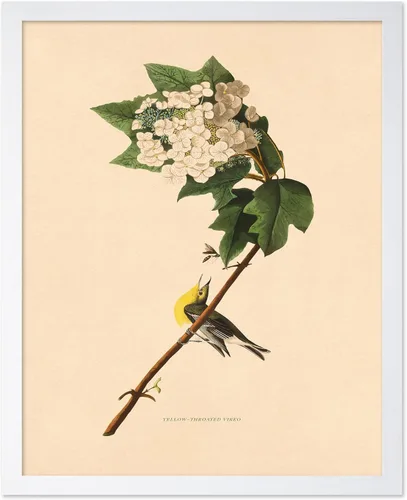 Miniatura 23 de Poster Master Póster Vintage de Plantas Cultivadas - Impresión Botánica Retro - Arte de Flores - Arte de Plantas - Regalo para Hombres y Mujeres
