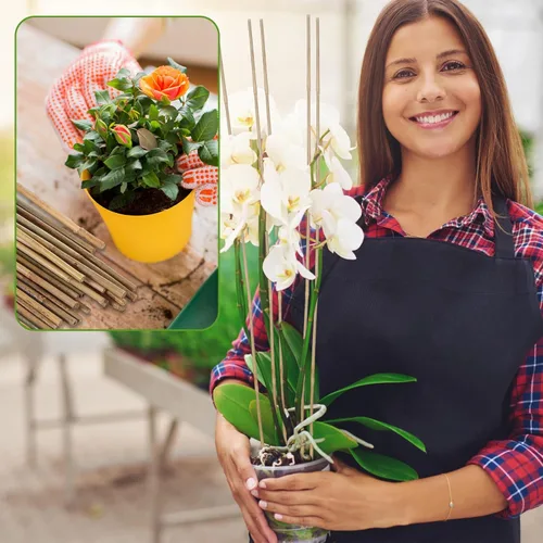 Miniatura 6 de Suzile 60 estacas de bambú a granel, estacas naturales para plantas de bambú para jardín, soporta escalada para tomates, frijoles, vegetales