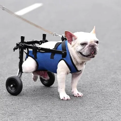 Lightweight Portable Dog Wheelchair, 2-Wheel Pet Stroller, Breathable Mobility Aid for Small Dogs with Back Leg Support,S