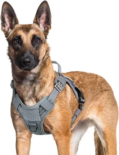 Miniatura 54 de rabbitgoo - Arnés para perros pequeño sin tirones, chaleco táctico de servicio con Molle y asa de control, arnés militar ajustable y reflectante