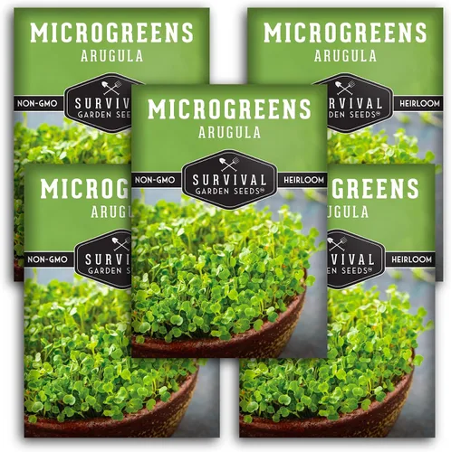 5 paquetes de microgreens de rúcula para plantar y cultivar – Semilla para plantar microvegetales de hoja verde en interiores – Cultiva tu propio