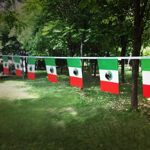Miniatura 5 de Anley Banderines de cuerda de Estados Unidos Mexicanos – Eventos patrióticos 16 de septiembre Decoración de la Independencia Mexicana Barras México