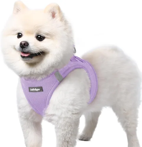 Miniatura 46 de rabbitgoo Arnés para perro pequeño, chaleco de malla suave para cachorros con hebilla de seguridad, arnés reflectante transpirable para mascotas