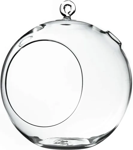 Miniatura 14 de WGV Globo de terrario colgante, ancho 5 pulgadas, altura 6 pulgadas, maceta de aire para suculentas, florero de vidrio transparente con parte