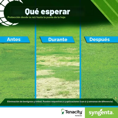 Miniatura 7 de tenacidad Césped Herbicida – 8 onzas