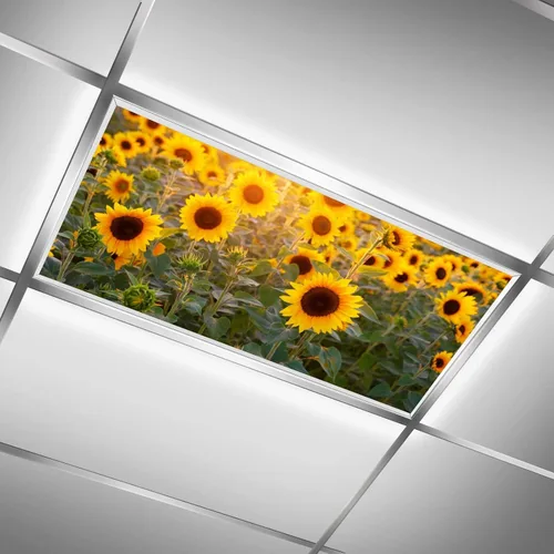 Miniatura 15 de Inserto de Cubierta de Luz de Techo Suspendido 4' x 2' pies (Naturaleza Bosque Hojas de Bambú Sol Verde) - Cubierta de Luz Fluorescente Reduce